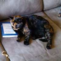 Erica Handy Photo 28