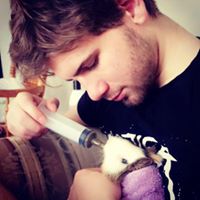 Mark Maxfield Photo 10