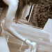 Robert Bue Photo 14