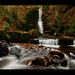 Robert Nutter Photo 19