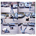 Janice Hess Photo 12