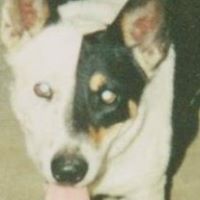 Stacy Holden Photo 18