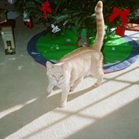 Susan Donahue Photo 14 Susan Donahue Photo 14