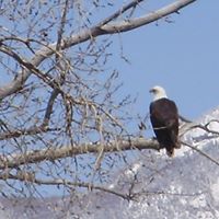 Kenneth Wilder Photo 16