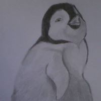 Crystal Rankin Photo 27