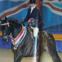 Cathy Palmer Photo 12 Cathy Palmer Photo 12