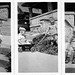 Robert Hamilton Photo 1