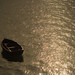 Jennifer Ripple Photo 18