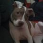 Terri Jackson Photo 28