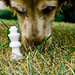 Heidi Bishop Photo 19