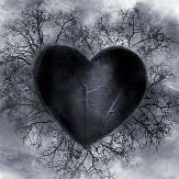 Elizabeth Ambriz Photo 33