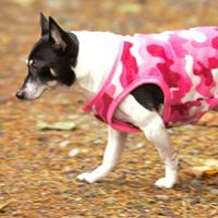 Kathryn Beck Photo 40 Kathryn Beck Photo 40