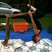 Angela Ledington Photo 5