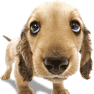 Nancy Sears Photo 24