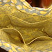 Amy Gray Photo 16