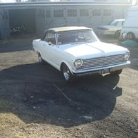 Francis Bird Photo 14