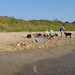 Catherine Higbee Photo 7