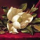 Brenda Phillips Photo 11