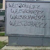 Bill Stewart Photo 19