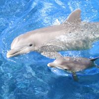 Rita Fields Photo 28