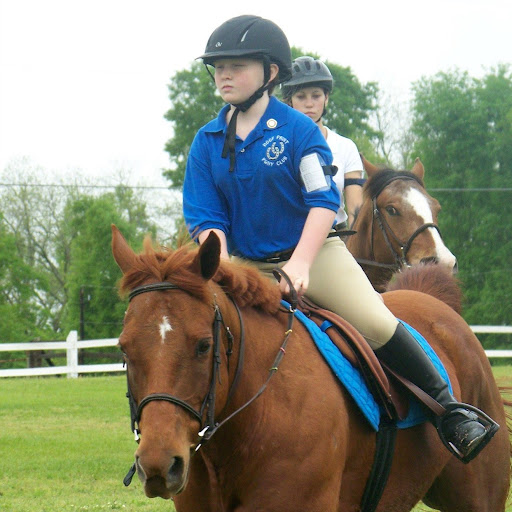 Julie Carroll Photo 26