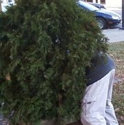 Steven Gleason Photo 15