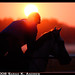 Dawn Gray Photo 30