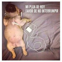 Xavier Roman Photo 12