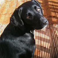 Tracey Newton Photo 31