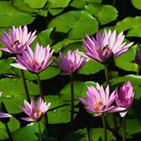 Dean Groves Photo 20