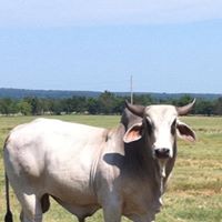 John Leflore Photo 24 John Leflore Photo 24