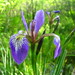 Sharon Hill Photo 40