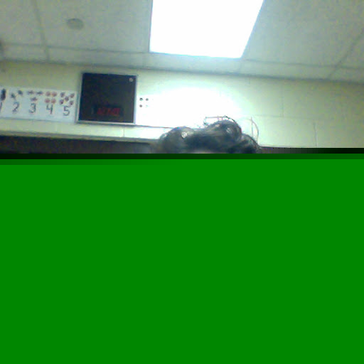 Susan Mcclellan Photo 15