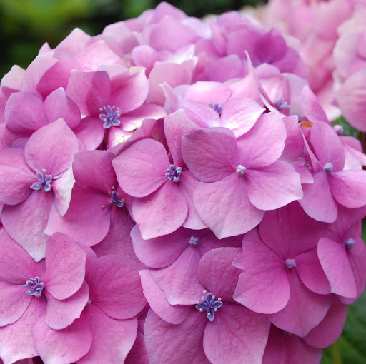 Jennifer Walter Photo 6 Jennifer Walter Photo 6