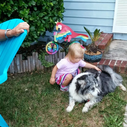 Laura Albright Photo 45 Laura Albright Photo 45