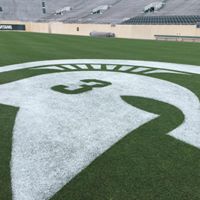 Nancy Phipps Photo 24