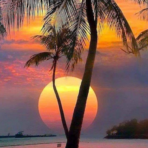 Jennifer Ballard Photo 39 Jennifer Ballard Photo 39