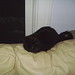 Eddie Couch Photo 31