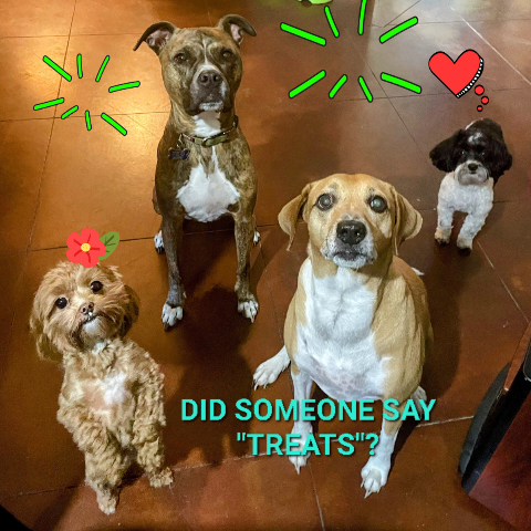 Kristie Murphy Photo 24