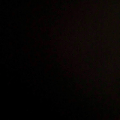 Shelley Potter Photo 12