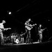 Steve Antonelli Photo 15