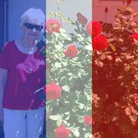 Joann Conner Photo 14
