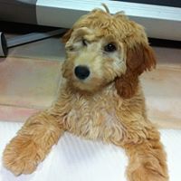 Molly Benjamin Photo 4