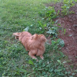 Sharon Kline Photo 25