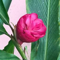 Anne Lane Photo 15 Anne Lane Photo 15