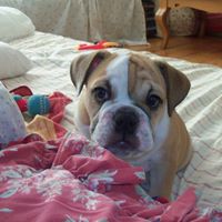 Angela Spinelli Photo 26