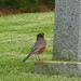 Robin Hubbard Photo 26
