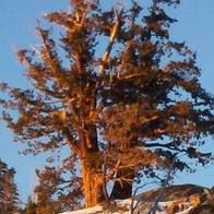 Janice Redden Photo 5