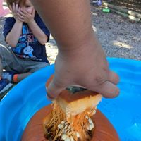 Roberta Werner Photo 16