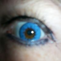 Kelly Speece Photo 5